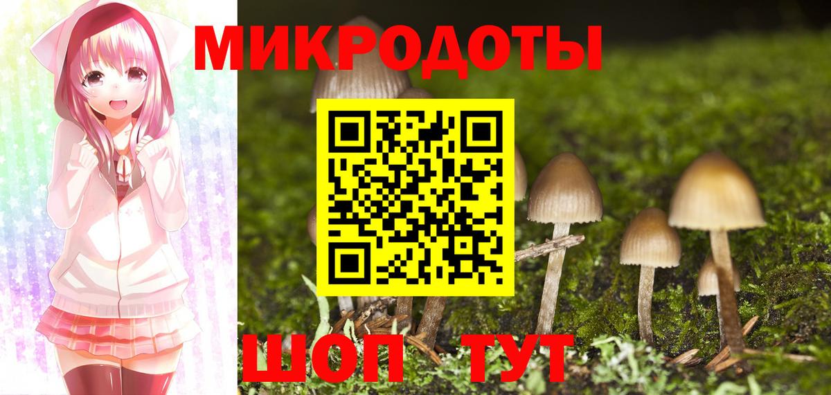 Домодедово  купить наркотик  Вход с VPN  Псилоцибиновые грибы Psilocybe  Псилоцибиновые грибы Cubensis 